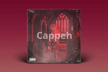 I will draw your super detailed cartoon album cover art