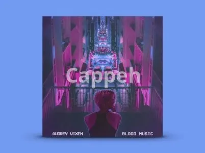 I will craft your vintage album cover and single artwork