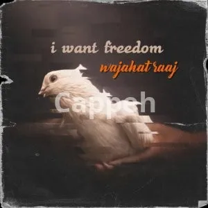 I will design professional rap or song cover art within 24 hours