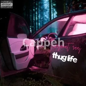 I will design professional rap or song cover art within 24 hours