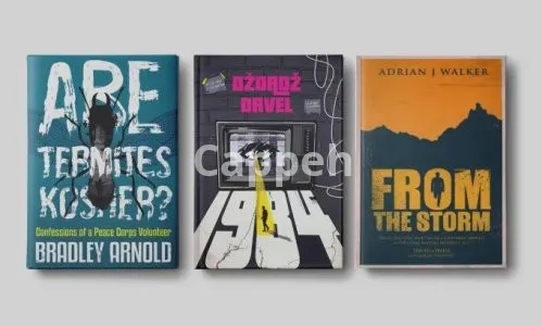 I will make you a selling high level book cover