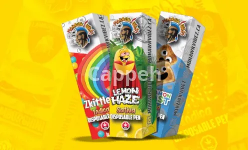 I will design weed box, cannabis packaging, mylar bag, cbd package designs