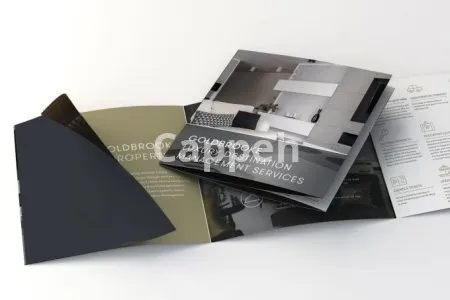 I will create the perfect business brochure