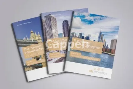 I will create the perfect business brochure