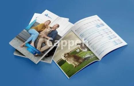 I will design superb print or digital brochure