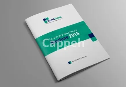 I will design your brochure, booklet, magazine, proposal, white paper, flyer