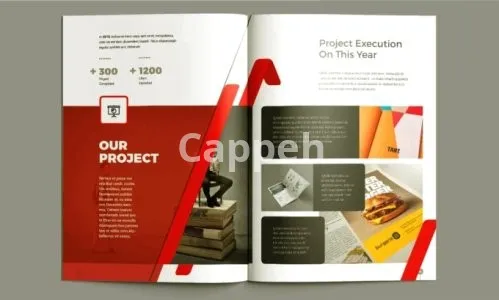 I will write content and design a catchy company profile