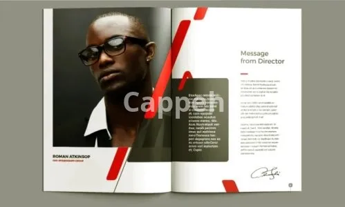 I will write content and design a catchy company profile