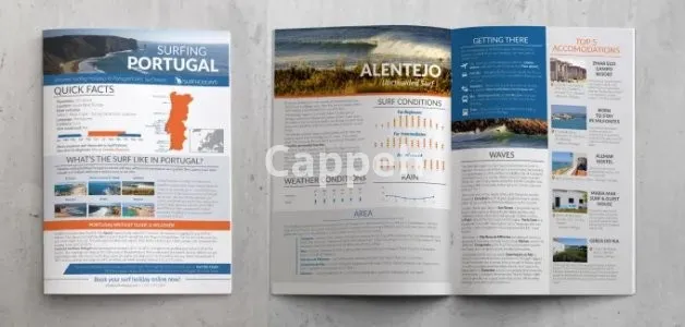 I will design your report or guidebook or similar docs