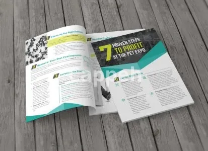 I will design your report or guidebook or similar docs