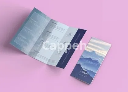 I will design flyers tri fold bi fold