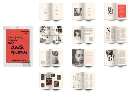 I will indesign job brochure newsletter book