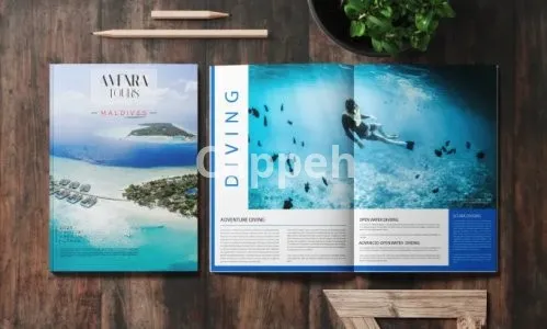 I will design catalog, magazine, brochure, and any project with adobe indesign