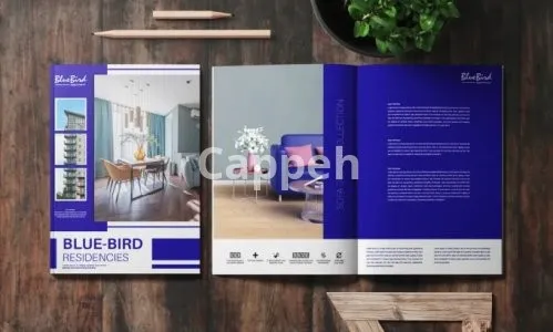 I will design catalog, magazine, brochure, and any project with adobe indesign