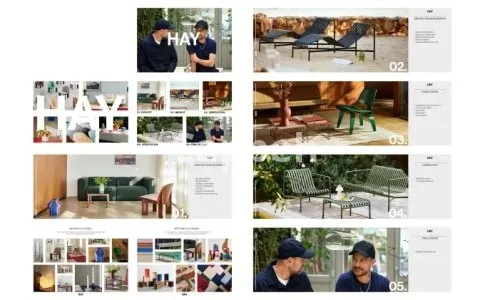 I will design indesign documents such as CV, portfolio, magazine, presentation, book ,,