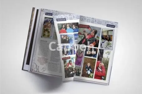 I will expedited yearbook design for you school