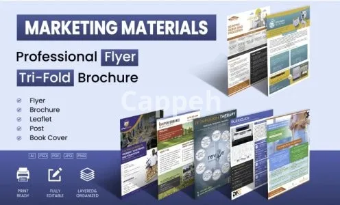 I will design professional flyer, trifold brochure and marketing materials