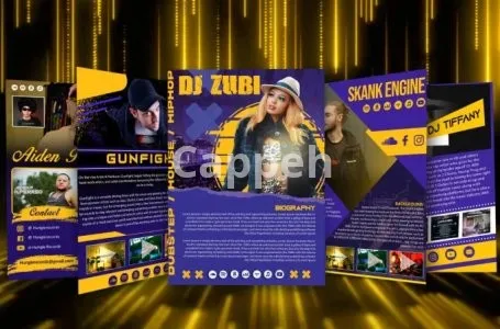 I will design epk, media kit, press kit, speaker kit, one sheet
