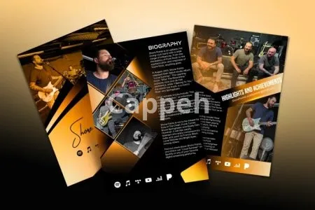 I will design advance level epk, electronic press kit, media kit, artist, music, bands