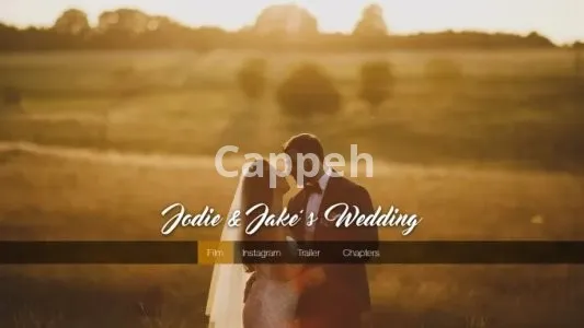 I will design and author an awesome dvd or blu ray menu