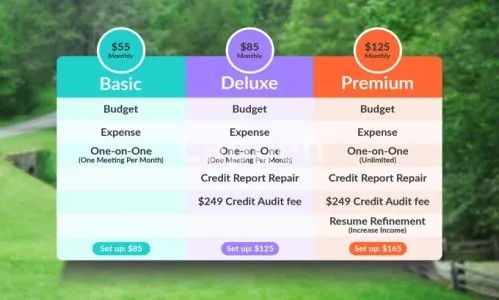 I will design PSD pricing table and comparison chart professionally