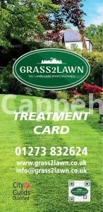 I will design professional flyer, poster, leaflet in 5 hours