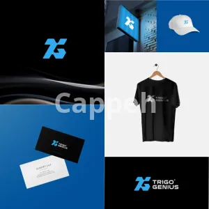 I will design any kind of graphic poster flyer brochure logo web banner