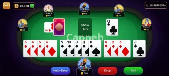 I will deliver games like poker teen patti rummy ludo and more
