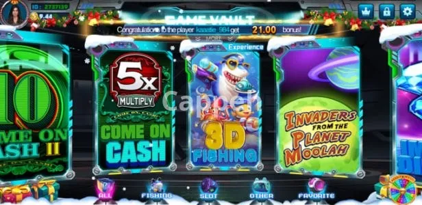 I will develop 40 games in single app or website slots fish blackjack keno poker bingo