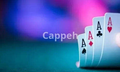 I will setup bet app, blackjack, bet website, sport bet, slot, poker, baccarat, crash