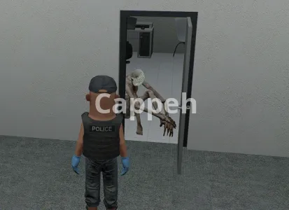 I will code custom scripts for your game on roblox