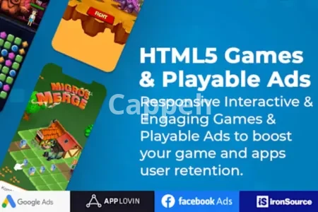 I will do playable ads, 2d html5 web game, html5 game, facebook game
