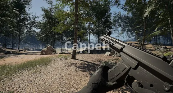 I will develop aaa tactical fps monetized game