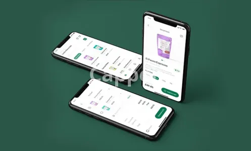 Our agency will be your professional app builder for app development