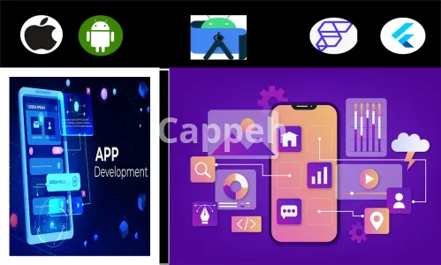 I will develop flutter android IOS web app, figma to flutterflow,flutter ui or firebase