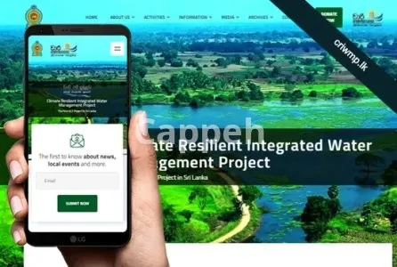 I will create a responsive website with a mobile app