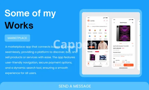 I will design bubble mvp bubble crm bubble marketplace saas crm open ai gpt bubble io