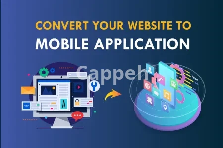 I will convert website to app using webview app