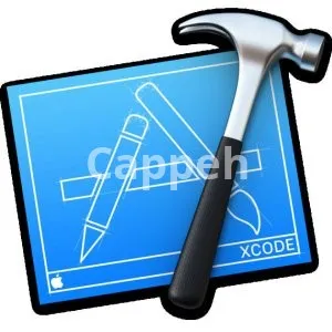 I will fix bugs of your ios app