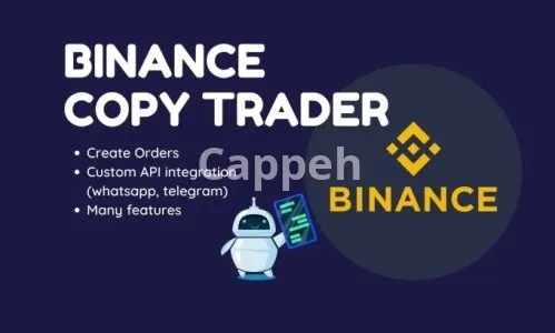 I will create a custom bot binance futures or spot
