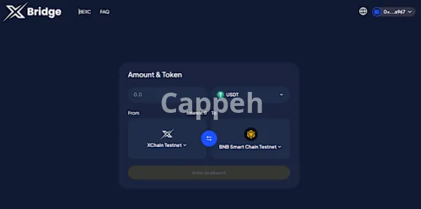 I will create crosschain bridge between evm blockchains