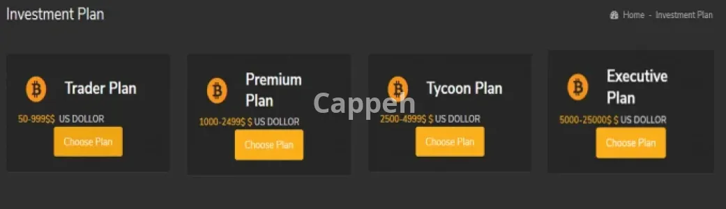 I will do crypto payment gateway with chat gpt