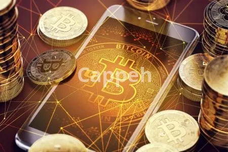 I will build cryptocurrency exchange and trading platform