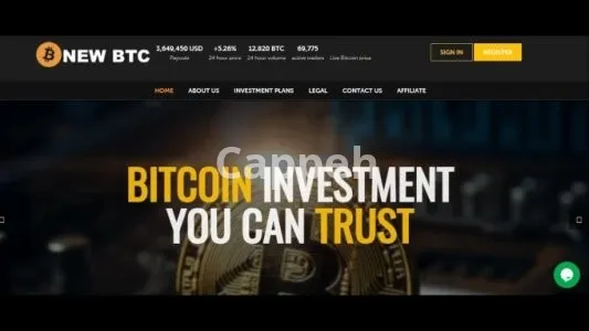 I will create a cryptocurrency investment website for your business