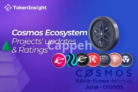 I will develop the dapps on cosmos and chain forking