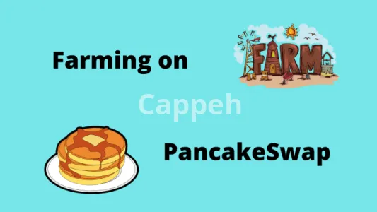 I will build pancake swap exchange