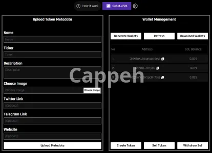 I will offer token launchpad using bundle transaction on pump, solana, ethereum, base