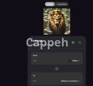 I will create a fork of pancakeswap uniswap dex decentralize exchange for crypto tokens