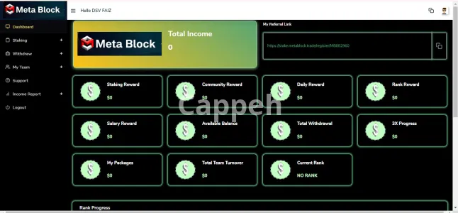 I will create MLM software and MLM website with blockchain