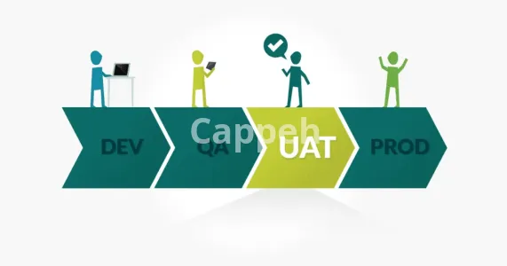 I will test your website and program from a users perspective, uat